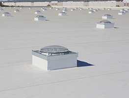 Skyvault auf dem Foliendach